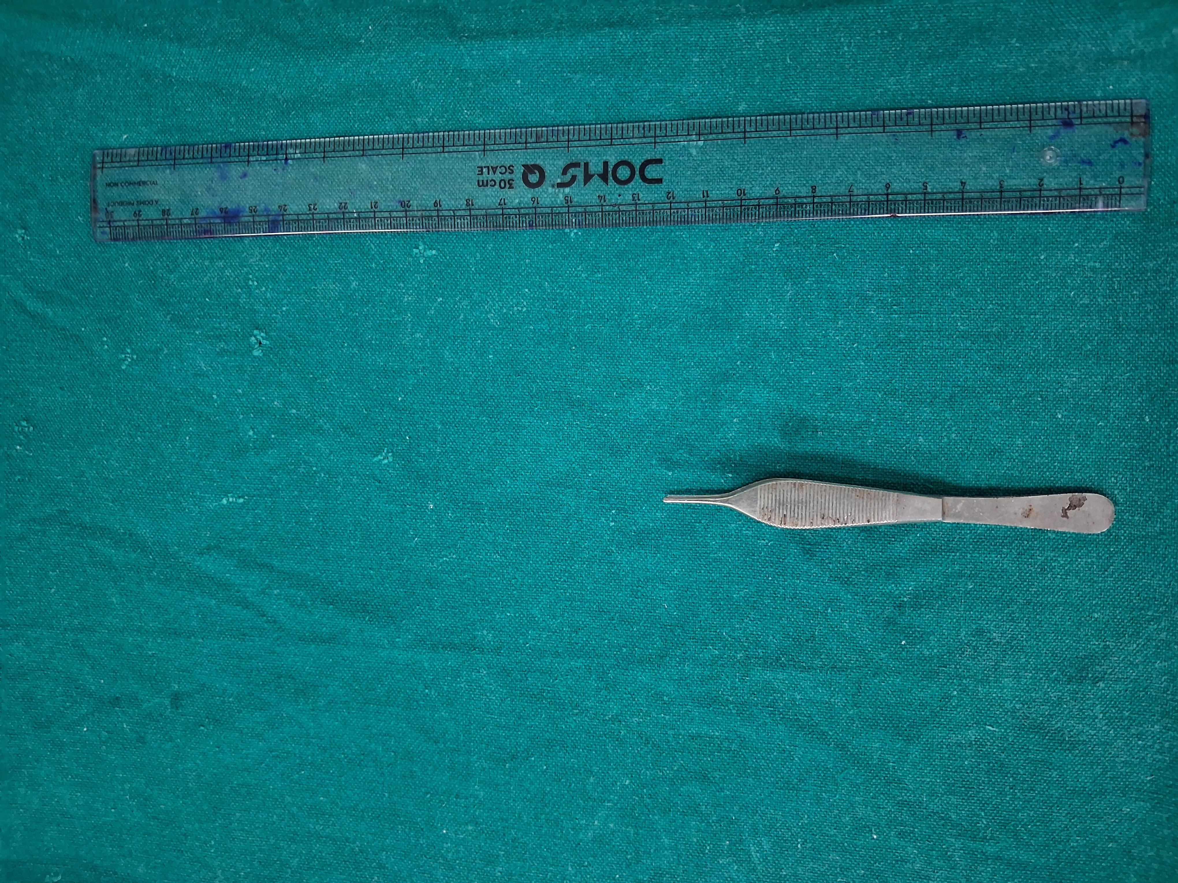 Dissecting Forcep Adson Tooth